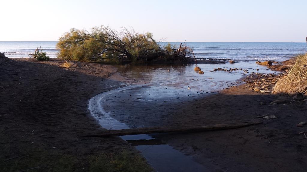 I fossi e lo stagno di Baratti (Piombino - LI)